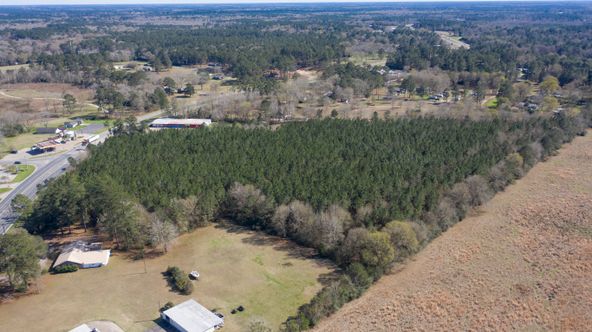 TBD Hwy 171, South: TBD Hwy 171, South, Deridder, LA 70634